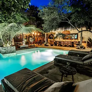 5* Hotel Vida